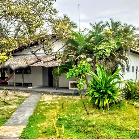 Villa Casamare อาชินส์ ภายนอก รูปภาพ