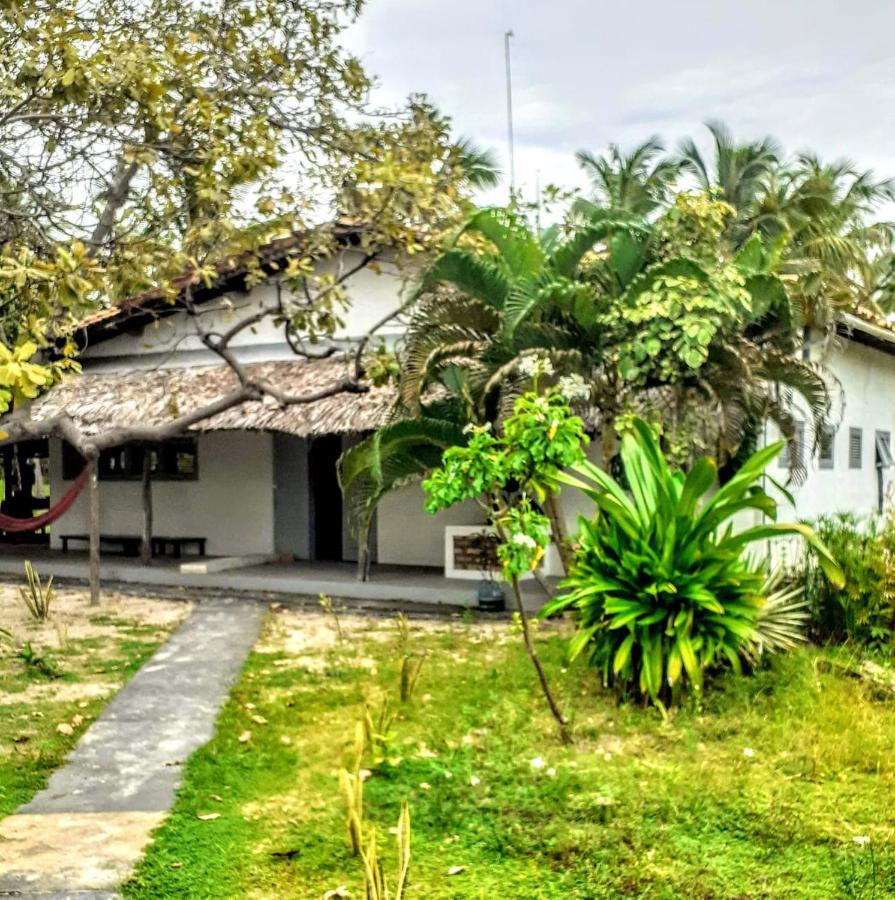 Villa Casamare อาชินส์ ภายนอก รูปภาพ