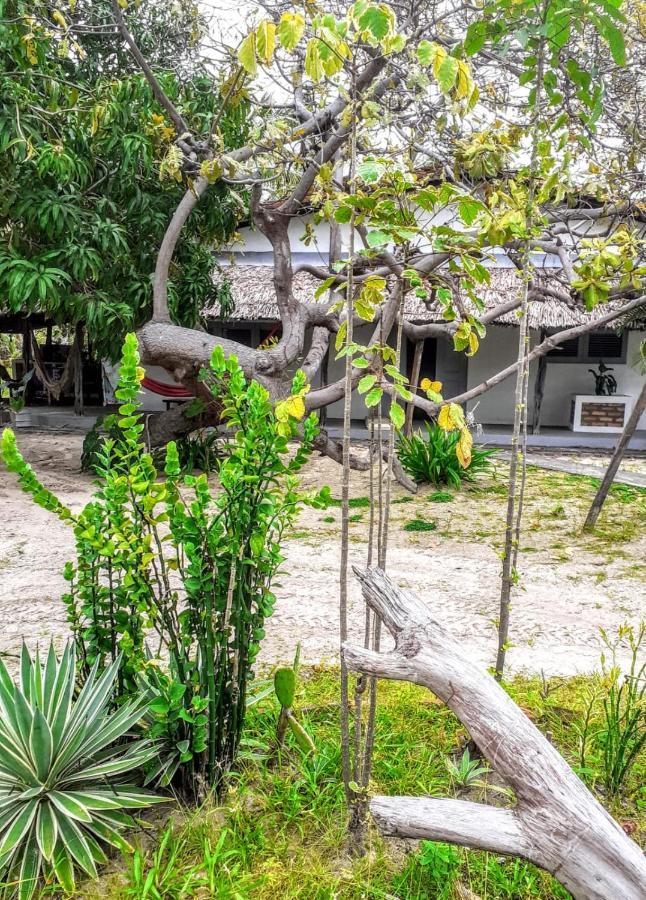 Villa Casamare อาชินส์ ภายนอก รูปภาพ