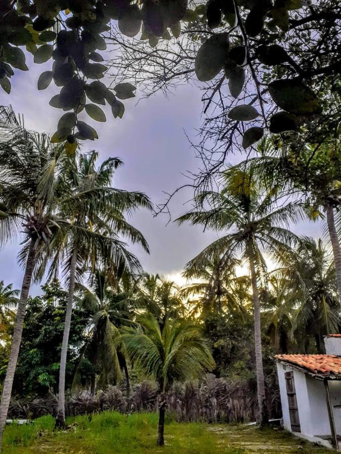 Villa Casamare อาชินส์ ภายนอก รูปภาพ
